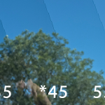 45% vehicle window tint shade